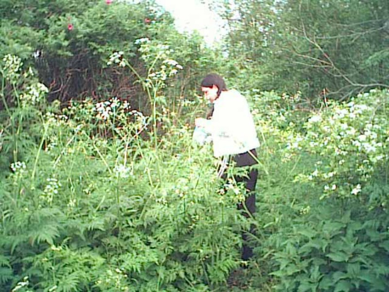 ../Images/PIC00002.jpg