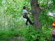 Thumbs/tn_DSC07155.jpg