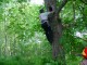 Thumbs/tn_DSC07156.jpg