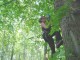 Thumbs/tn_DSC07165.jpg