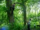 Thumbs/tn_DSC07167.jpg