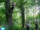 Thumbs/tn_DSC07168.jpg