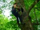 Thumbs/tn_DSC07170.jpg