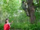 Thumbs/tn_DSC07177.jpg