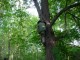 Thumbs/tn_DSC07179.jpg