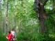 Thumbs/tn_DSC07180.jpg