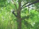 Thumbs/tn_DSC07182.jpg