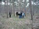 Thumbs/tn_IMG_0284.jpg