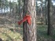 Thumbs/tn_IMG_0285.jpg