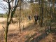Thumbs/tn_IMG_0289.jpg