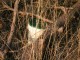 Thumbs/tn_IMG_0292.jpg