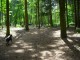 Thumbs/tn_DSC01425.jpg