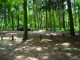 Thumbs/tn_DSC01426.jpg