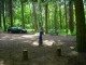 Thumbs/tn_DSC01427.jpg