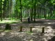 Thumbs/tn_DSC01428.jpg
