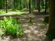 Thumbs/tn_DSC01429.jpg