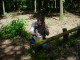 Thumbs/tn_DSC01433.jpg