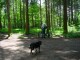 Thumbs/tn_DSC01435.jpg