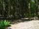 Thumbs/tn_DSC01436.jpg