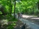 Thumbs/tn_DSC01439.jpg
