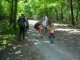 Thumbs/tn_DSC01449.jpg