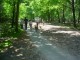 Thumbs/tn_DSC01450.jpg