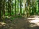Thumbs/tn_DSC01452.jpg