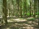 Thumbs/tn_DSC01453.jpg