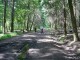 Thumbs/tn_DSC01454.jpg