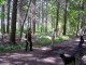 Thumbs/tn_DSC01455.jpg