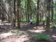 Thumbs/tn_DSC01457.jpg