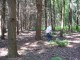 Thumbs/tn_DSC01458.jpg