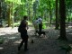 Thumbs/tn_DSC01459.jpg