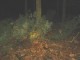 Thumbs/tn_DSC05348.jpg