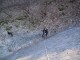 Thumbs/tn_016.jpg