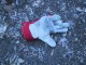 Thumbs/tn_024.jpg