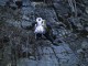Thumbs/tn_032.jpg