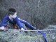Thumbs/tn_040.jpg