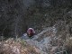 Thumbs/tn_054.jpg