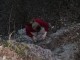 Thumbs/tn_055.jpg
