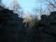Thumbs/tn_DSC05613.jpg