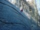 Thumbs/tn_DSC05626.jpg