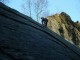 Thumbs/tn_DSC05636.jpg