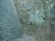Thumbs/tn_DSC05655.jpg
