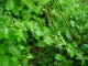Thumbs/tn_DSC01190.jpg
