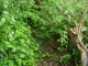 Thumbs/tn_DSC01191.jpg