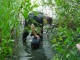 Thumbs/tn_DSC01194.jpg