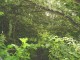 Thumbs/tn_DSC01196.jpg
