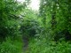 Thumbs/tn_DSC01197.jpg