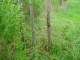 Thumbs/tn_DSC07857.jpg